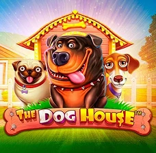 MostBet | The Dog House